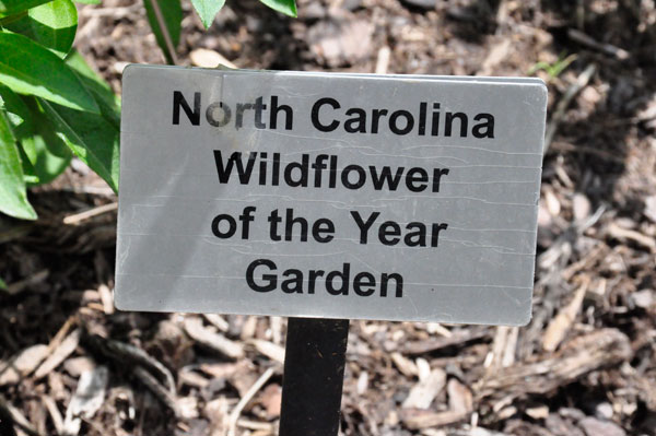 North Carolina Wildflower of the Year Garden sign